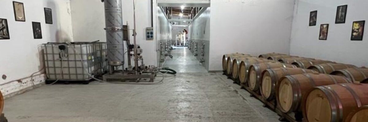 cropped-Bodega.jpg cropped-Bodega.jpg